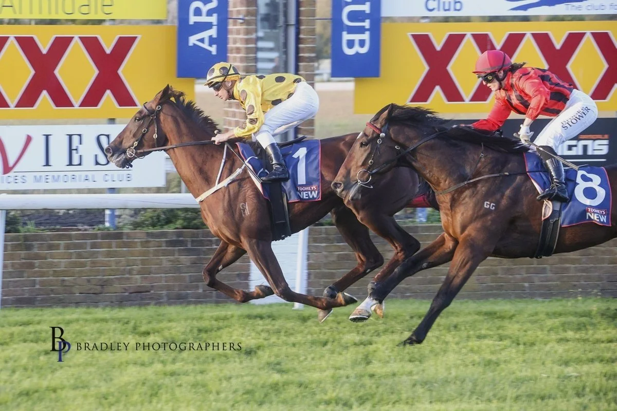 Episode 419:  Tappy chats with Paul Shailer