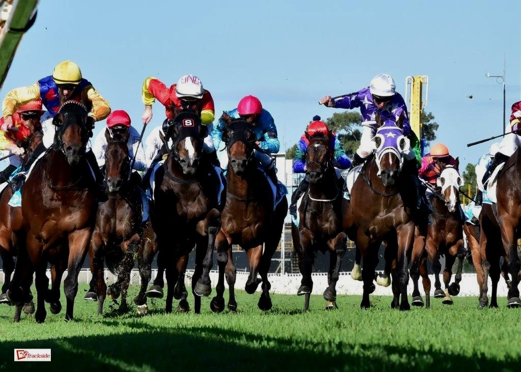 REX LIPP PUTS RETIREMENT ASIDE FOR THE TIME BEING