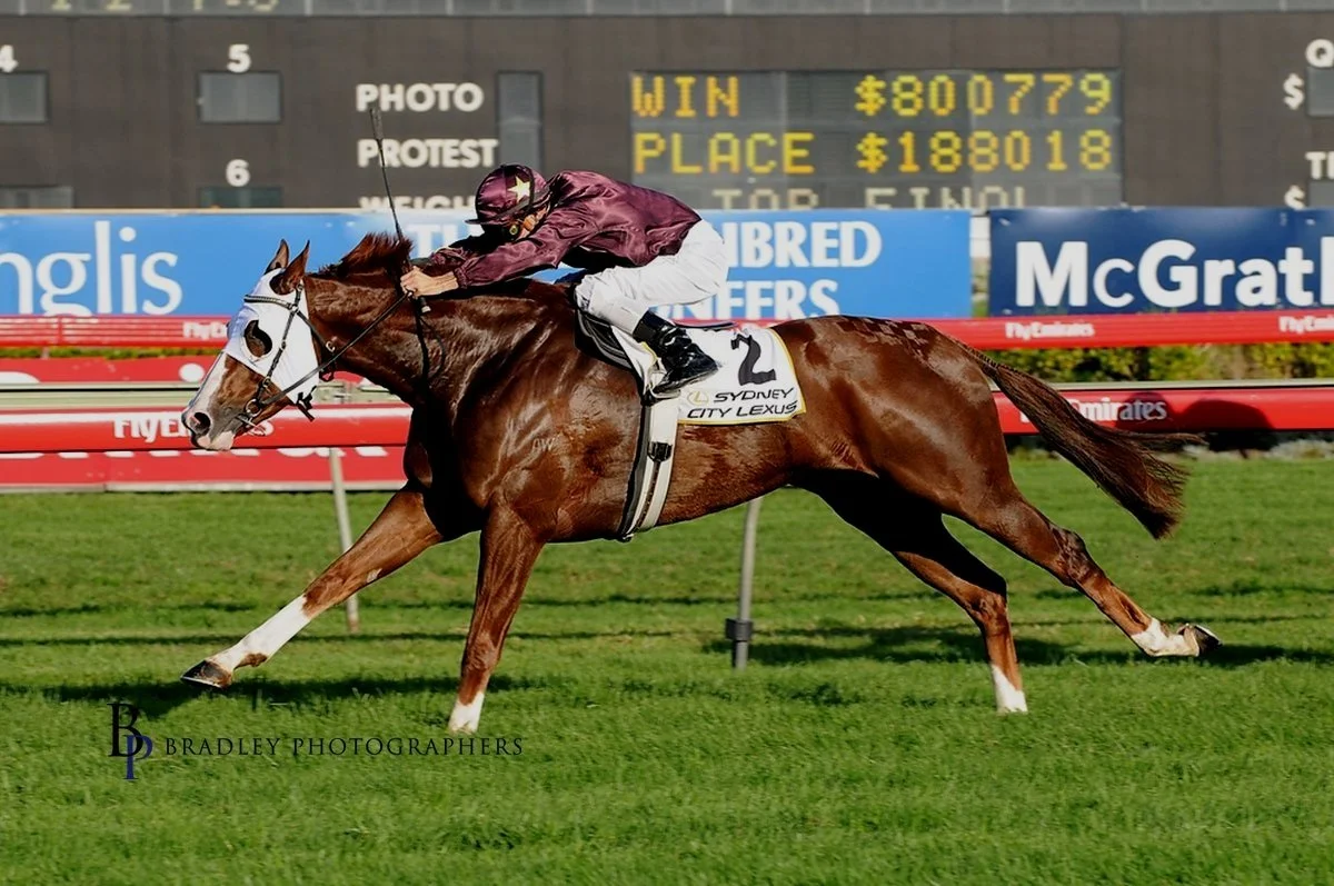 Episode 428:  Tappy chats with Greg Eurell