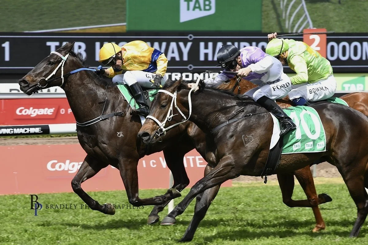 PRYDE’S EASIFEED COUNTRY TRAINER OF THE MONTH FOR JUNE 2023.