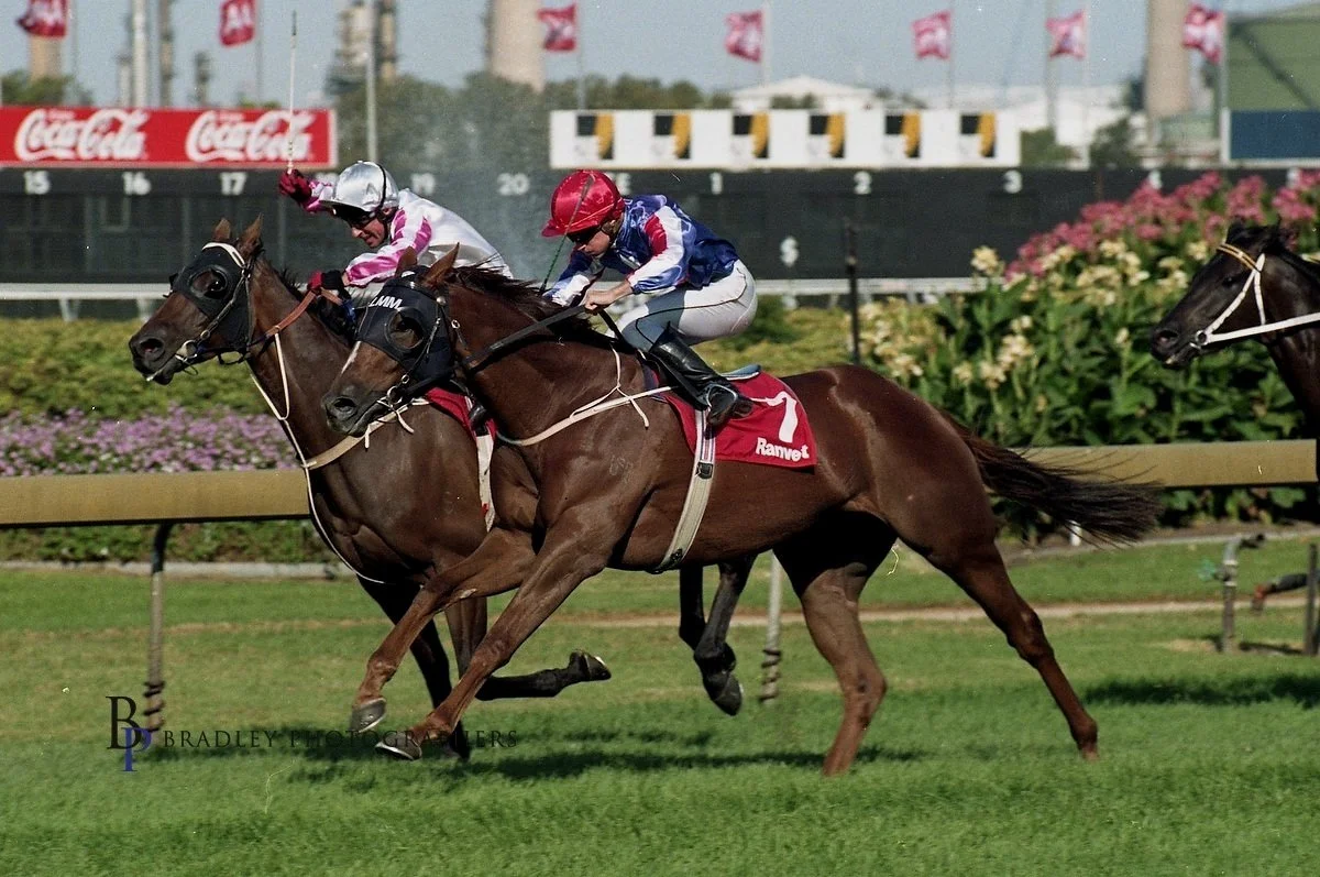 Episode 434:  Tappy chats with Leon Macdonald