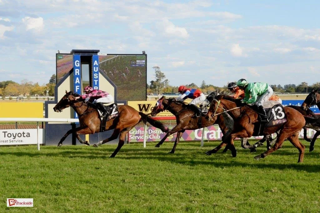 PRYDE’S EASIFEED COUNTRY TRAINER OF THE MONTH AUGUST 2023