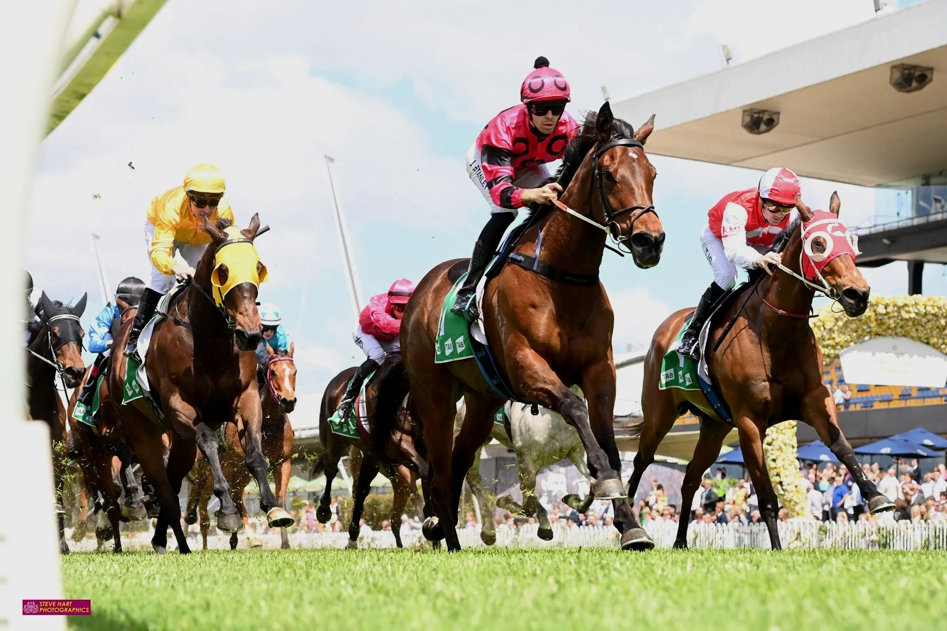WAYNE WILKES AND HIS TEAM ARE HAVING SOME FUN WITH SALE RING BARGAIN CHASE MY CROWN