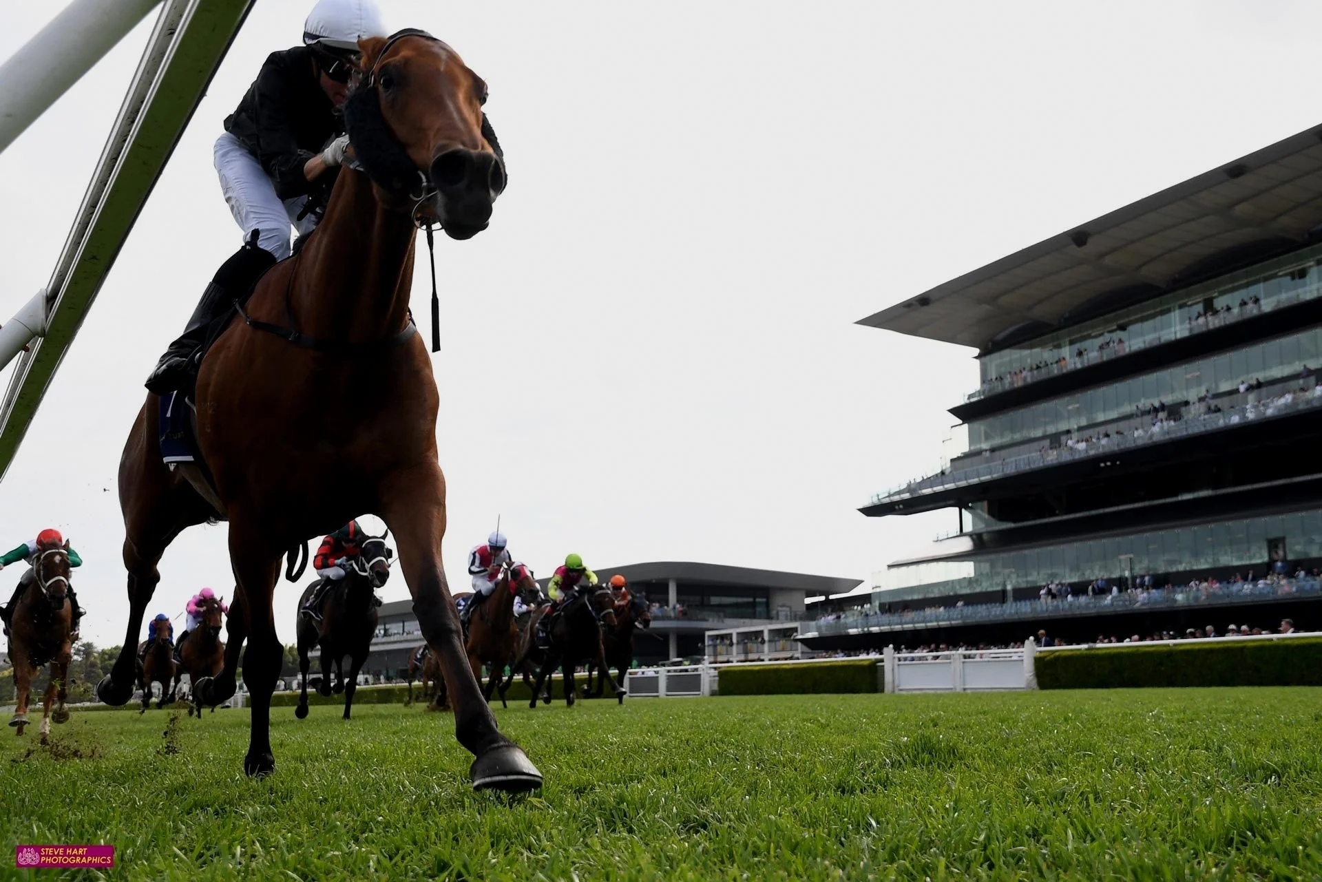 THE PUNTERS CHEERED UNSPOKEN WITH A FEW THROWN IN FOR ANDREW ADKINS