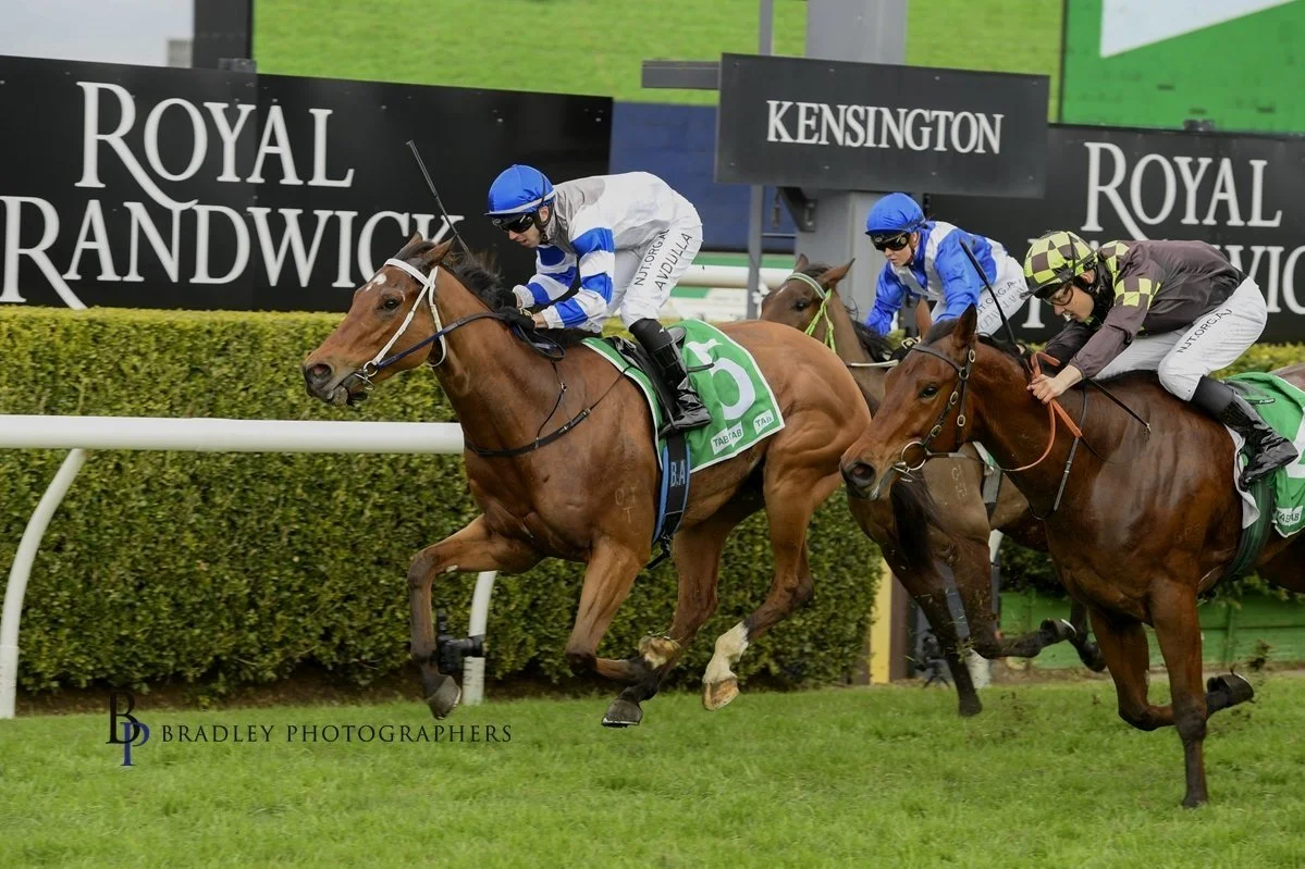 PRYDE’S EASIFEED COUNTRY TRAINER OF THE MONTH OCTOBER 2023