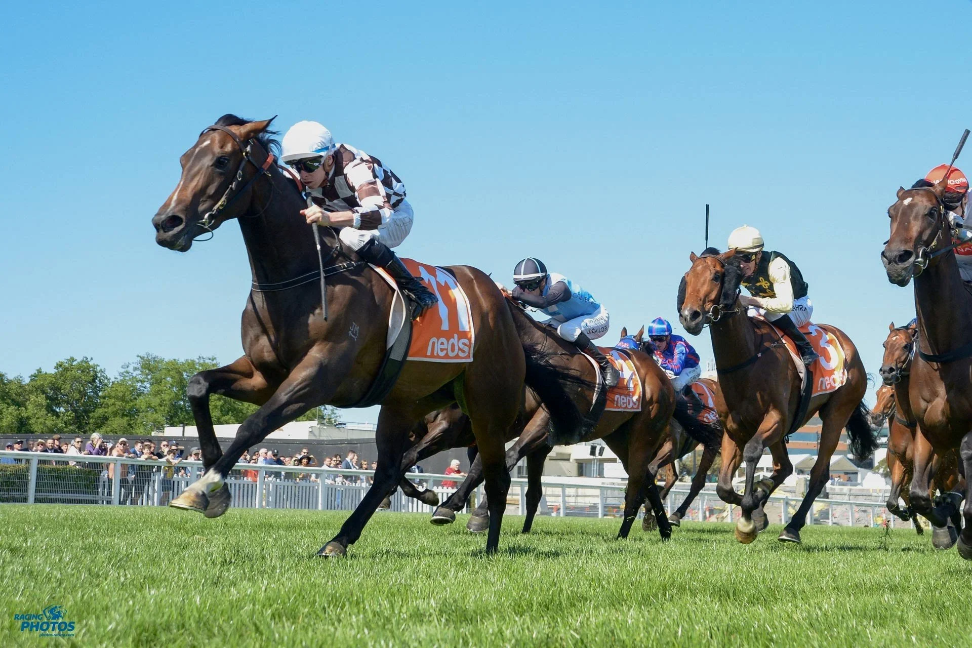 HISTORY REPEATS ITSELF FOR JOHN MUIR AND GRAHAME BEGG