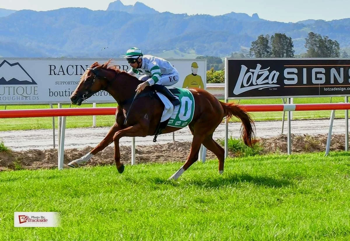 PRYDE’S EASIFEED COUNTRY TRAINER OF THE MONTH DECEMBER 2023