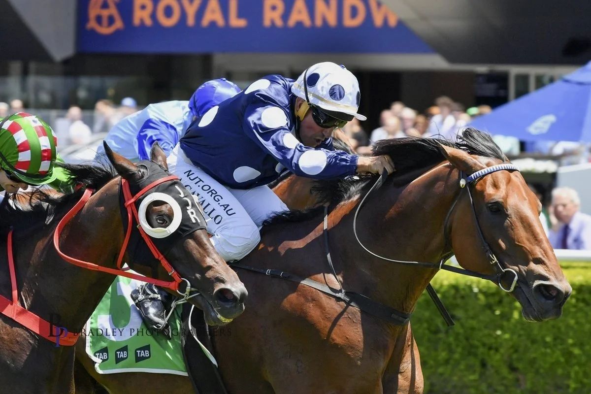 TAB HIGHWAY NUMBER 1 FOR THE RYAN BROTHERS - NUMBER 4 FOR EVERGREEN CAVALLO