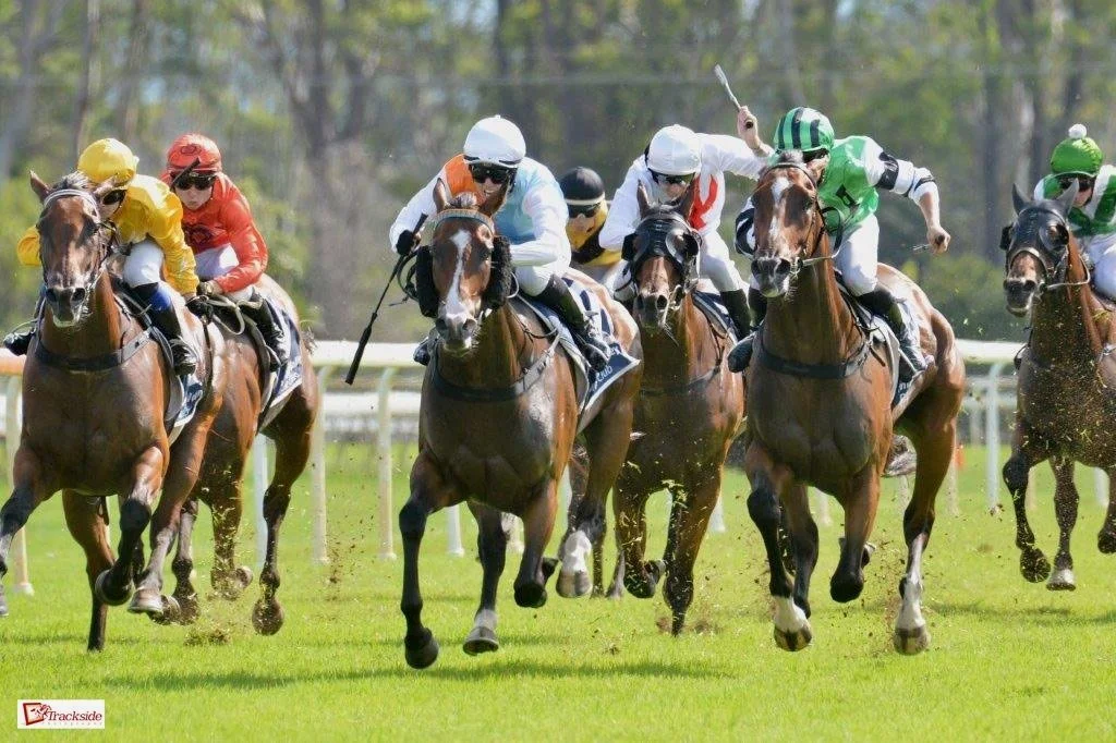 ANNA’S MUSWELLBROOK TUMBLE BROUGHT HER BACK TO EARTH AFTER A WEEK OF CELEBRATION
