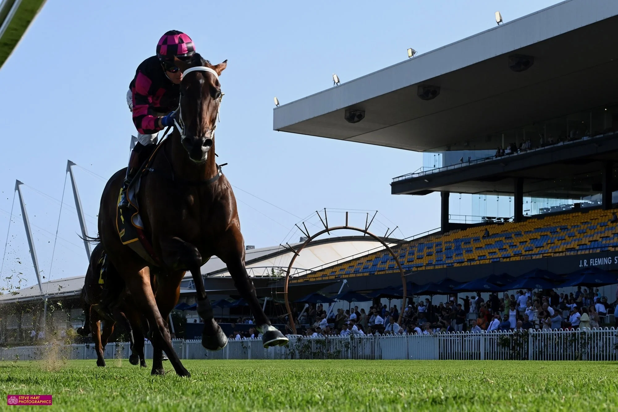 OUR KOBISON SCORCHES THE TURF AT ROSEHILL GARDENS