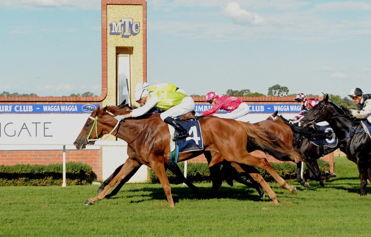 PRYDES EASIFEED COUNTRY TRAINER OF THE MONTH FEBRUARY 2024