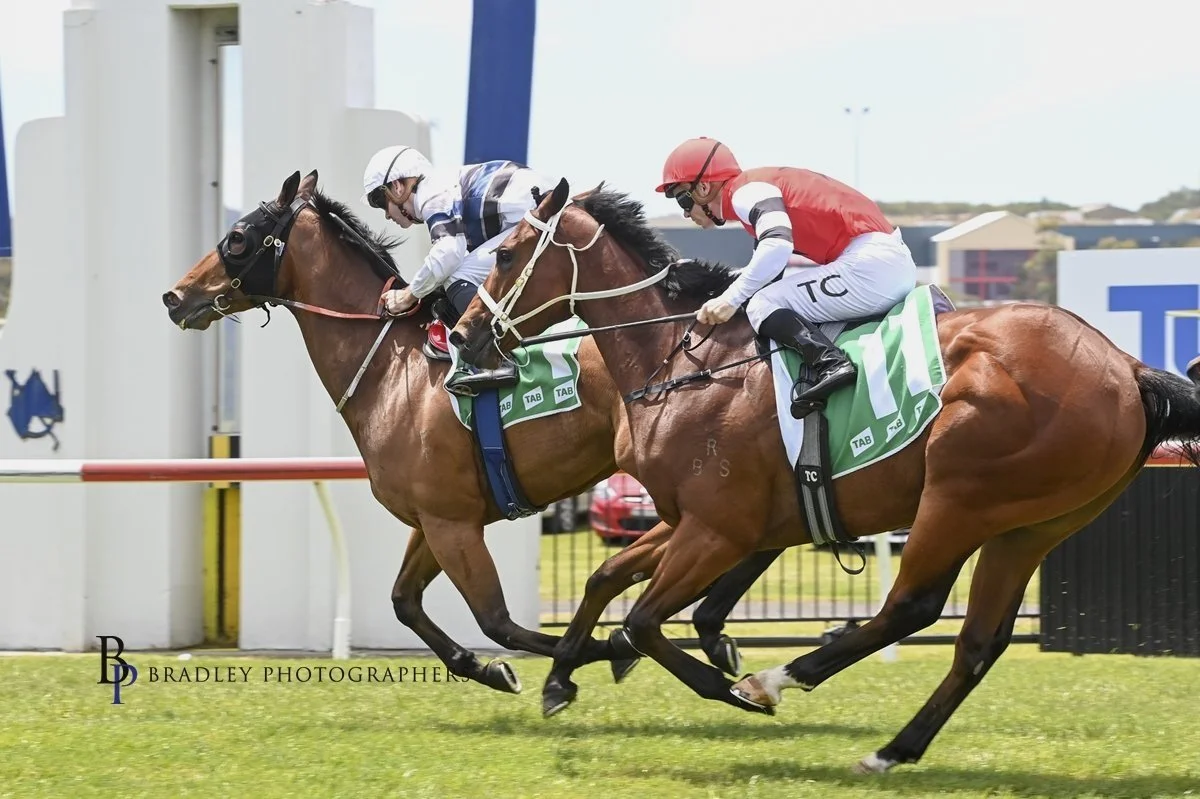 Episode 466:  Tappy chats with Ron Stubbs