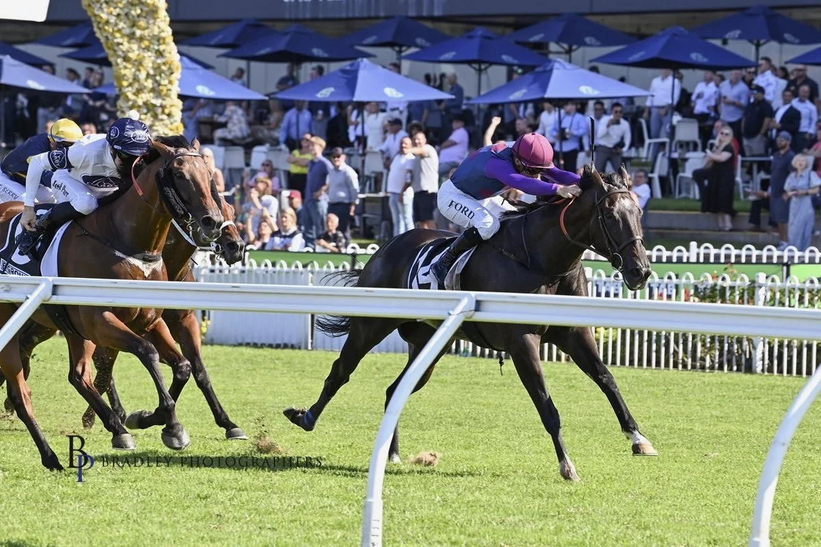 BANDI’S BOY COMES OFF A GR 3 WIN TO THE COUNTRY CHAMPIONSHIP FINAL