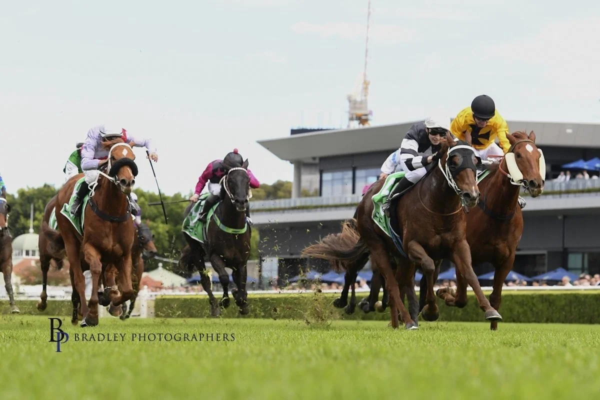 NIPOTINO GIVES DANIELLE SEIB HER SEVENTH TAB HIGHWAY SUCCESS