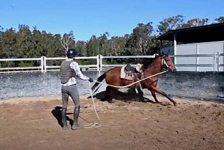 STEVE HART CHATS WITH YOUNG HORSE BREAKER CHARLIE BRISTER