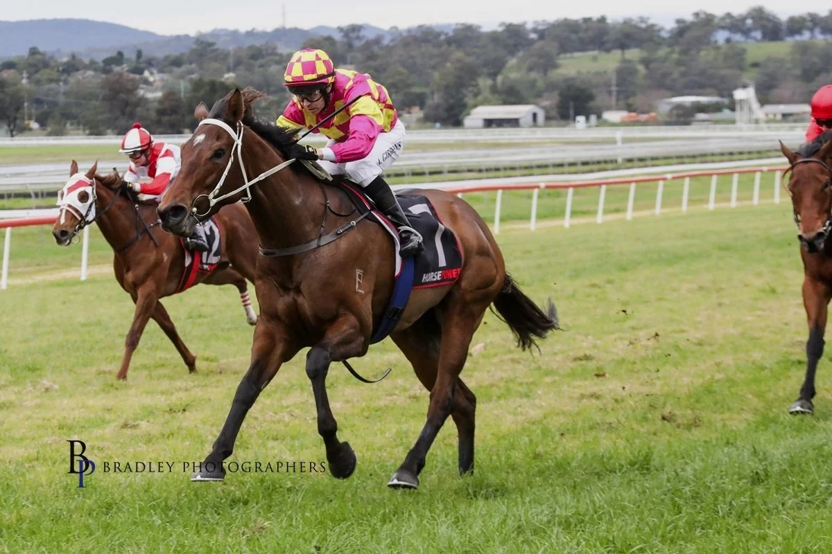 ANDREW GIBBONS IS IN WINNING VEIN