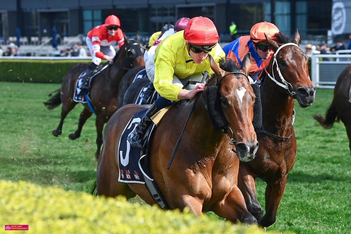 BUNDEENA CONTINUES A WINNING STREAK FOR THE JOHN THOMPSON STABLE