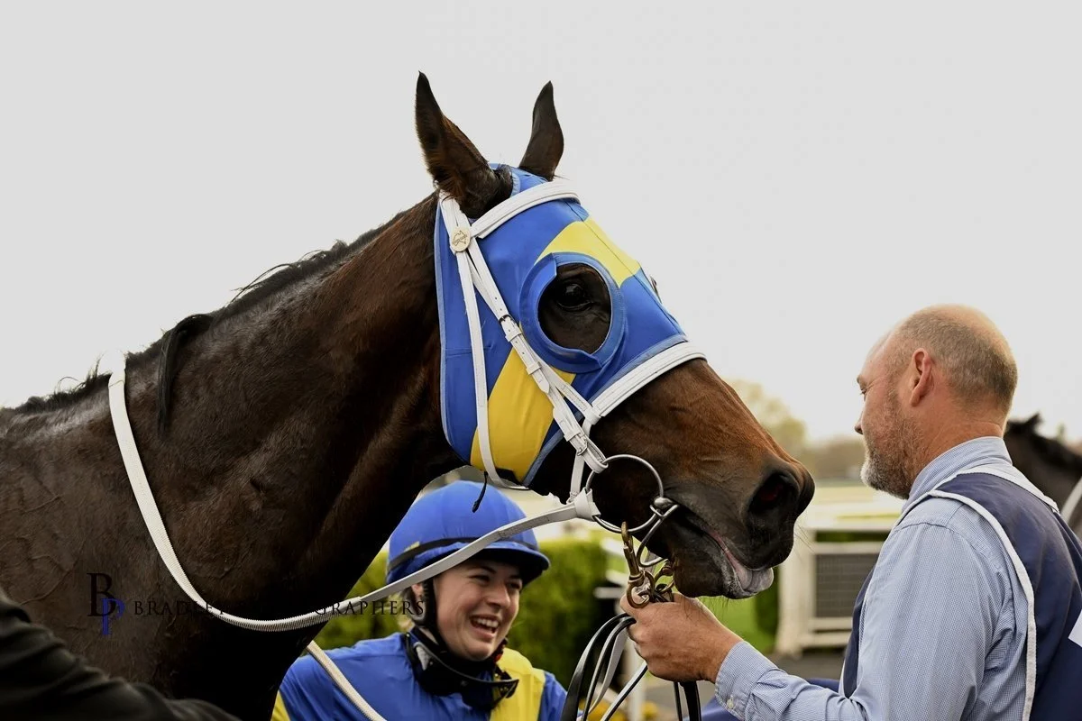 SALE RING BARGAIN UZZIAH APPRECIATES A FAST RANDWICK TRACK TO NOTCH HIS THIRD CITY WIN.