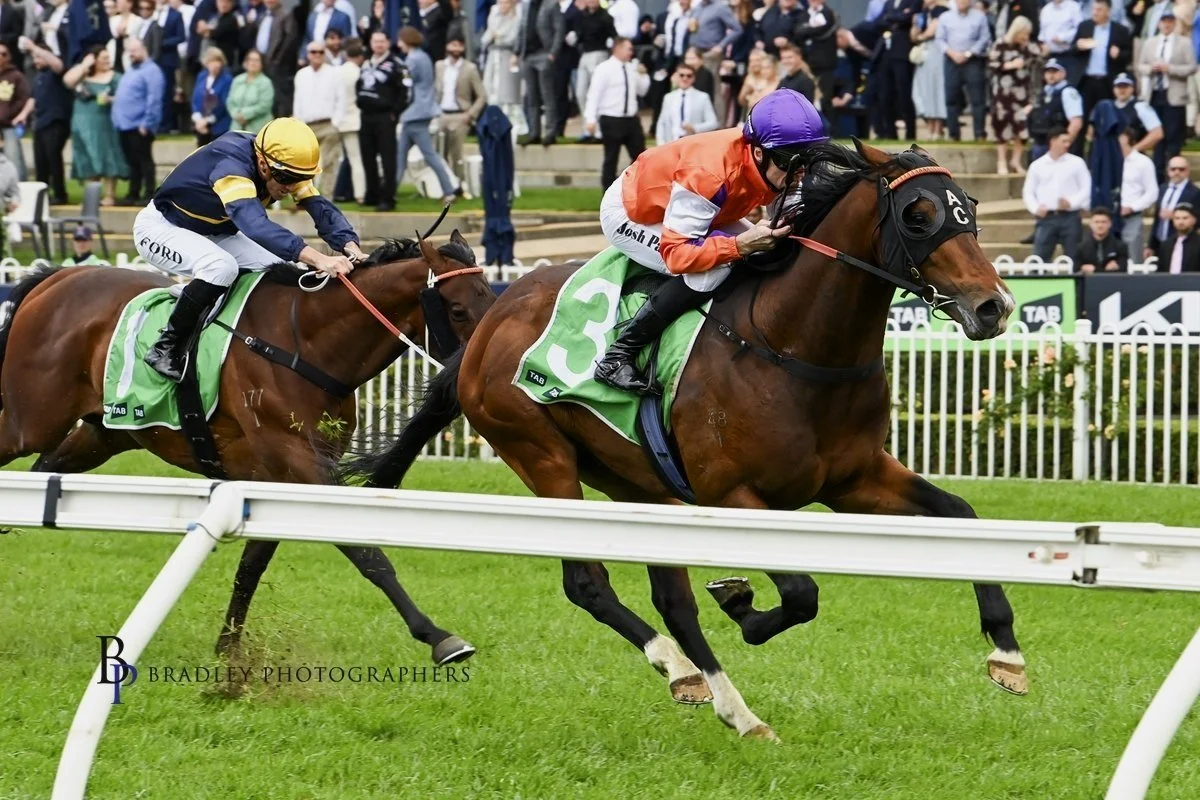 ANTHONY CUMMINGS HOPEFUL EL CASTELLO IS ANOTHER FIVEANDAHALFSTAR.