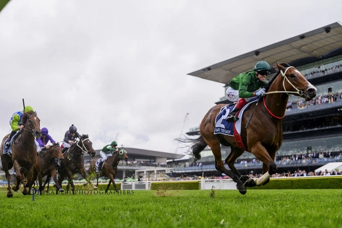 “MURWILLUMBAH MARVEL” HAS FINALLY REACHED KOSCIUSZKO’S SUMMIT