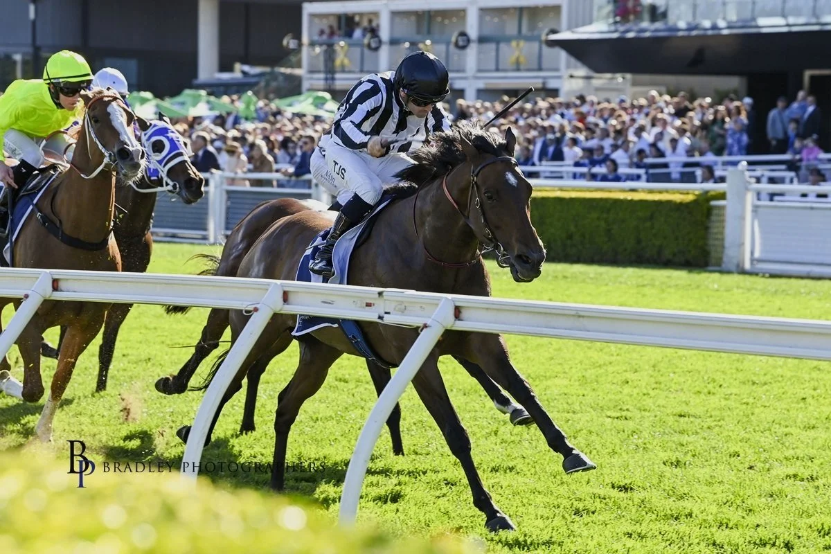 TYLER SCHILLER LEADS THEM A MERRY DANCE IN TWO STAKES RACES