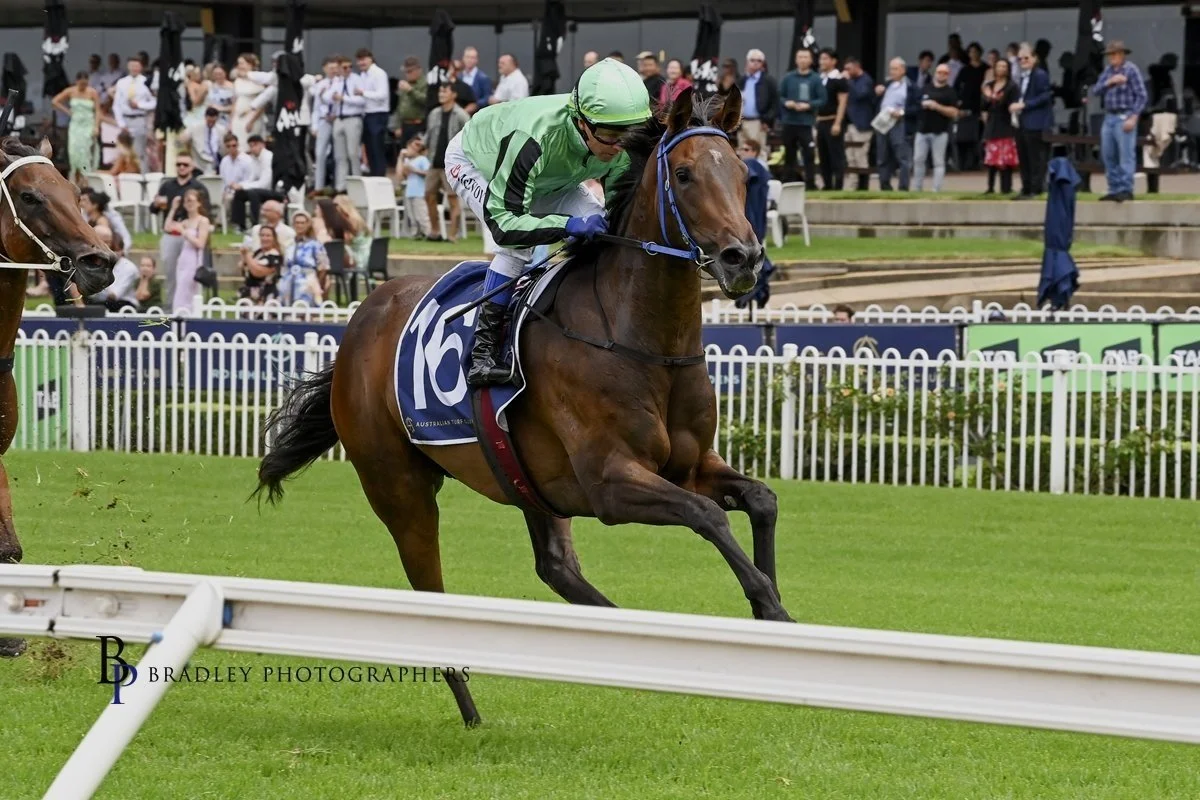 SHOHISHA UNFAZED BY OLDER RIVALS IN MIDWAY