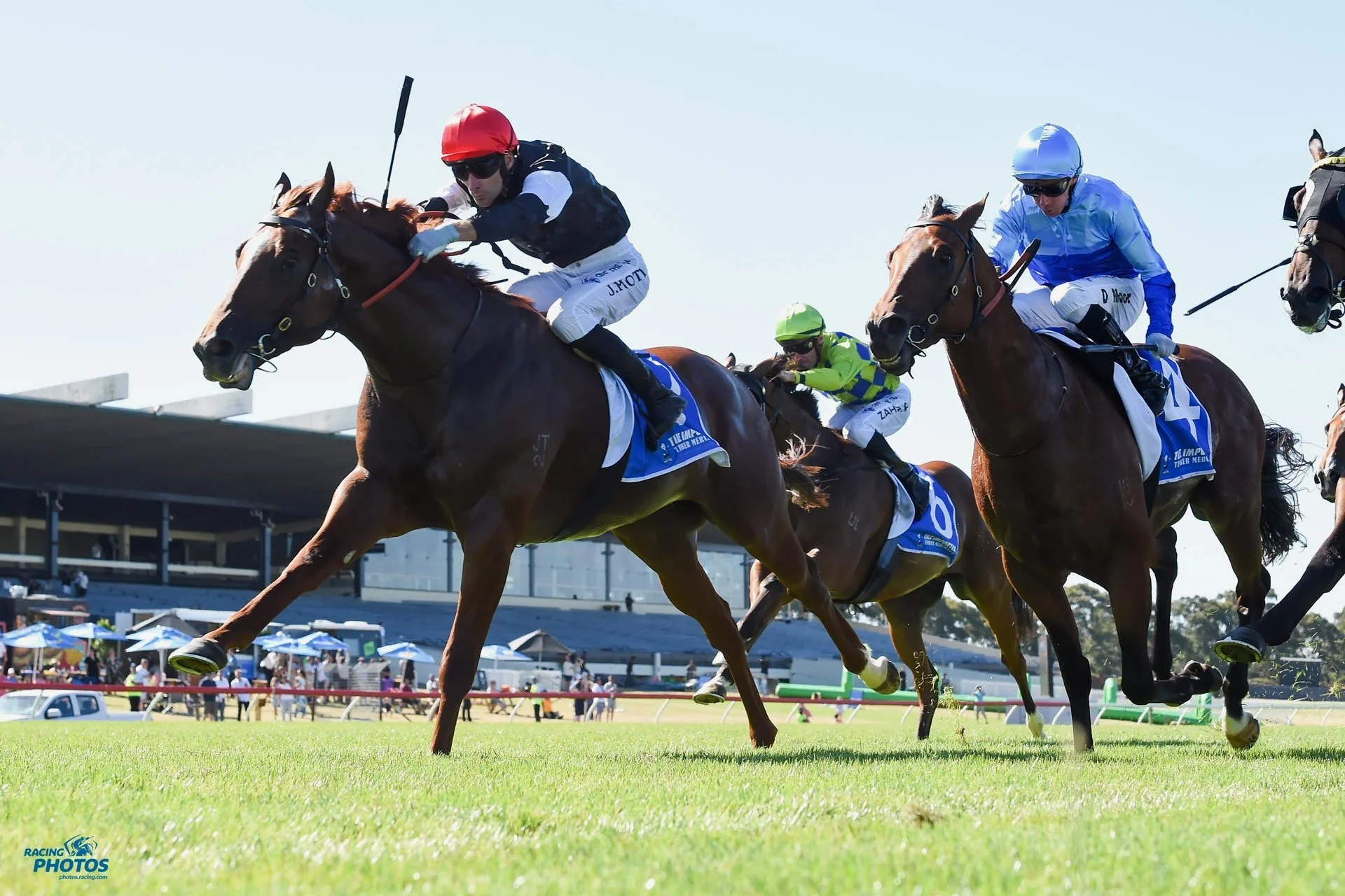 ROYAL INSIGNIA - ANOTHER STAKES WINNER FOR GALLANT BROODMARE YAU CHIN