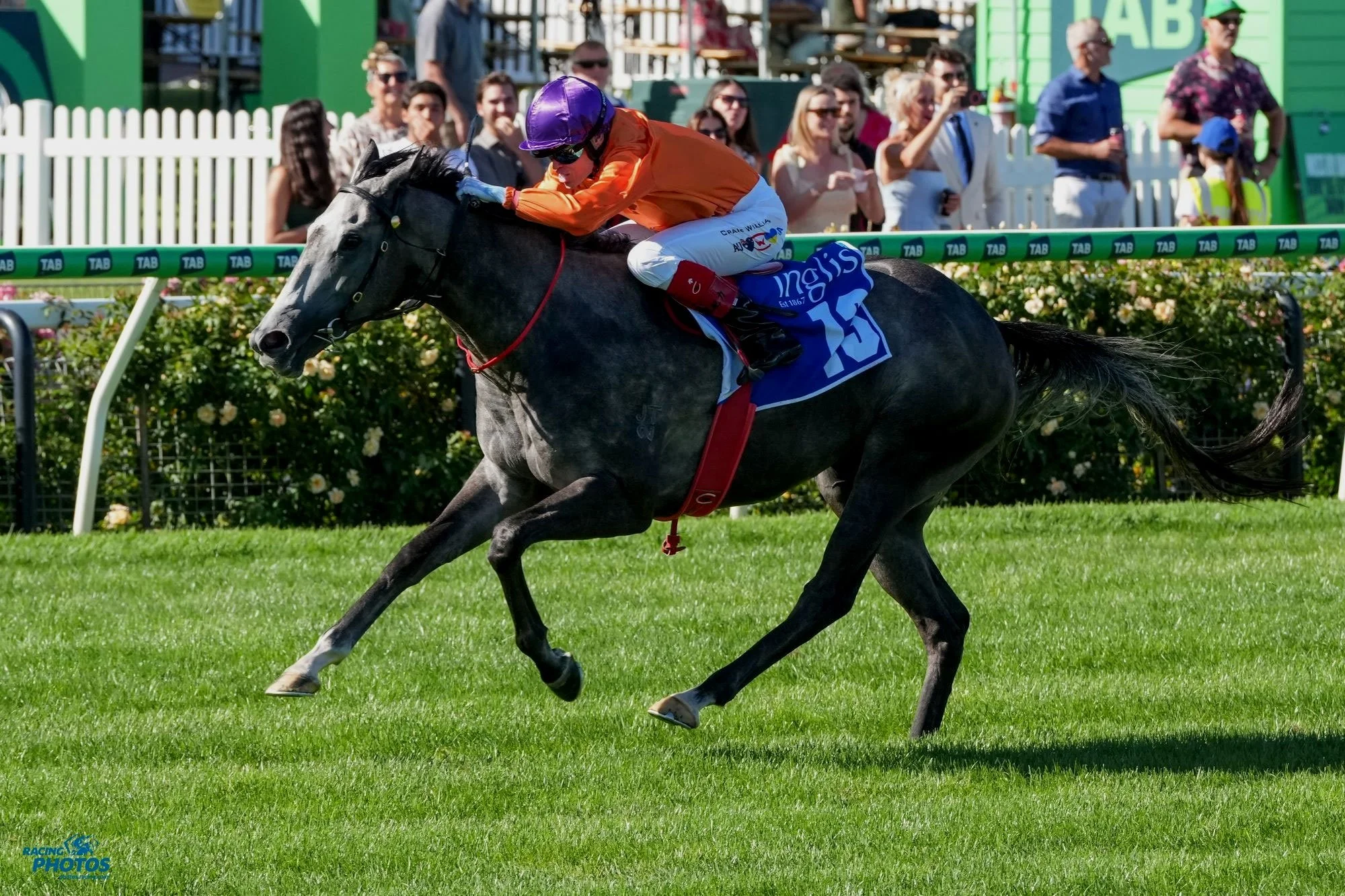EL MORZILLO FANCIED THE STRAIGHT SIX AS KELLY SCHWEIDA PREDICTED