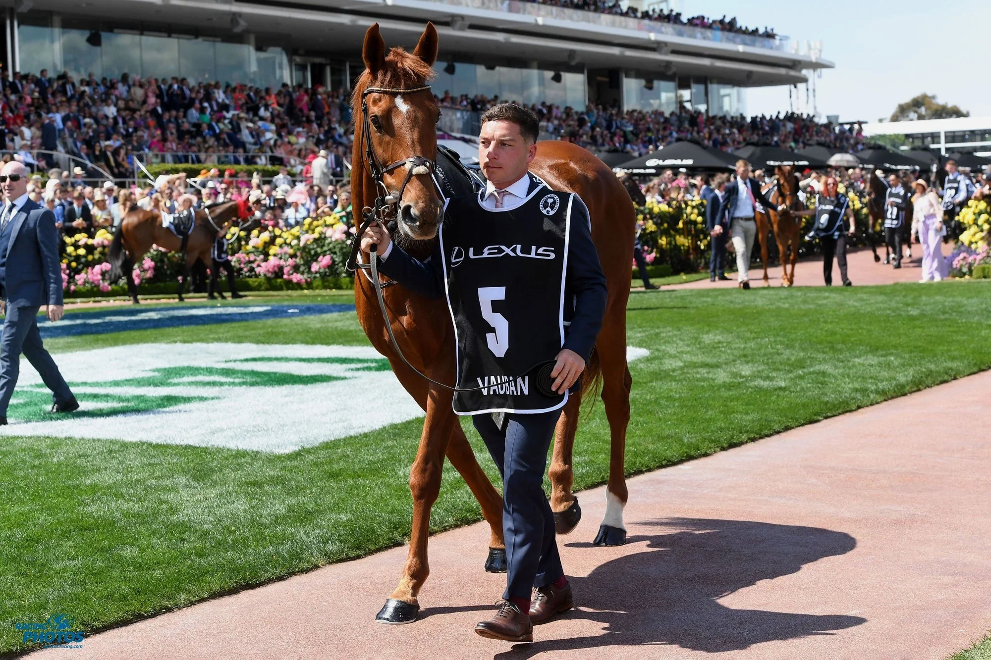 VAUBAN TAKES THE FIRST STEP TOWARDS SALVAGING HIS REPUTATION IN AUSTRALIA