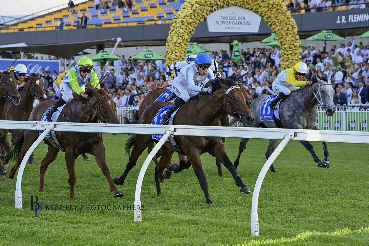 PRIVATE HARRY WAS A GREAT STORY LONG BEFORE YULONG GOT IN ON THE ACT - JUST ASK RAY WILLIS