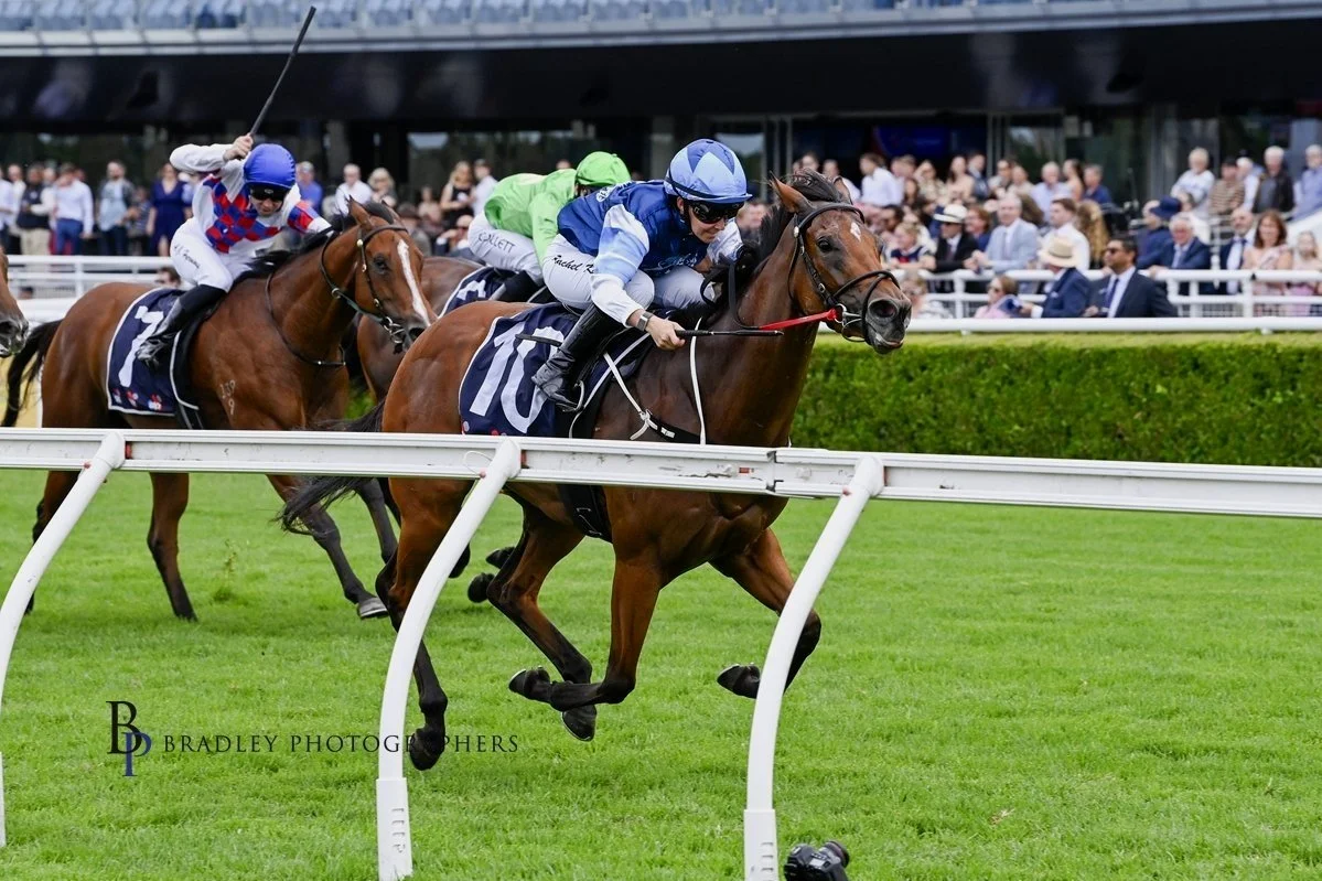 MITCHELL BEER TAKES SUNRISE FROM A BROODMARE SALE TO A RANDWICK WIN