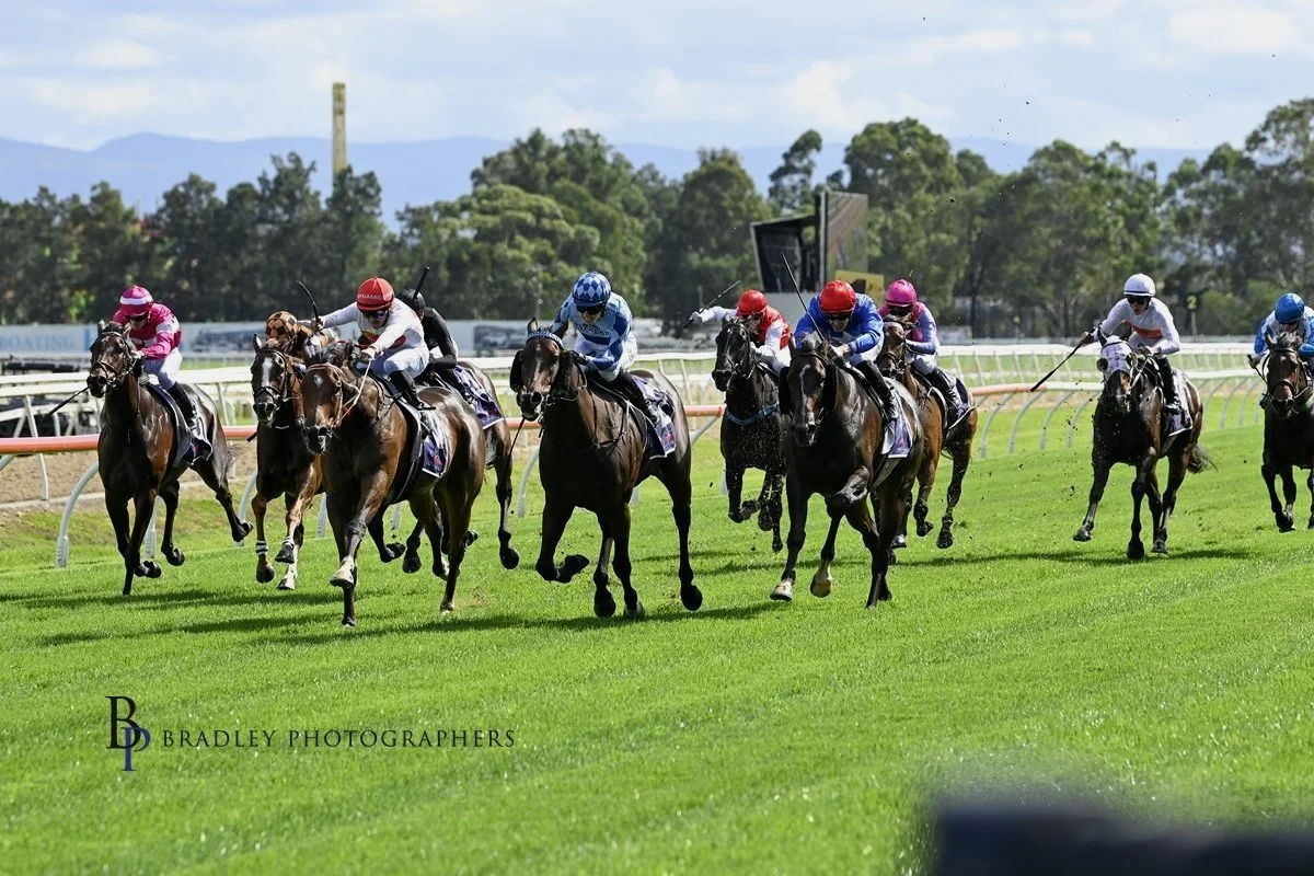 JUMEIRAH BEACH CLIMBS OFF THE CANVAS TO WIN THE MIDWAY AT HAWKESBURY’S STAND ALONE