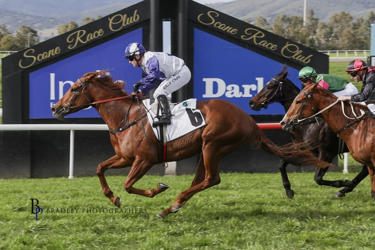 PRYDE’S EASIFEED COUNTRY TRAINER OF THE MONTH FOR MAY 2025