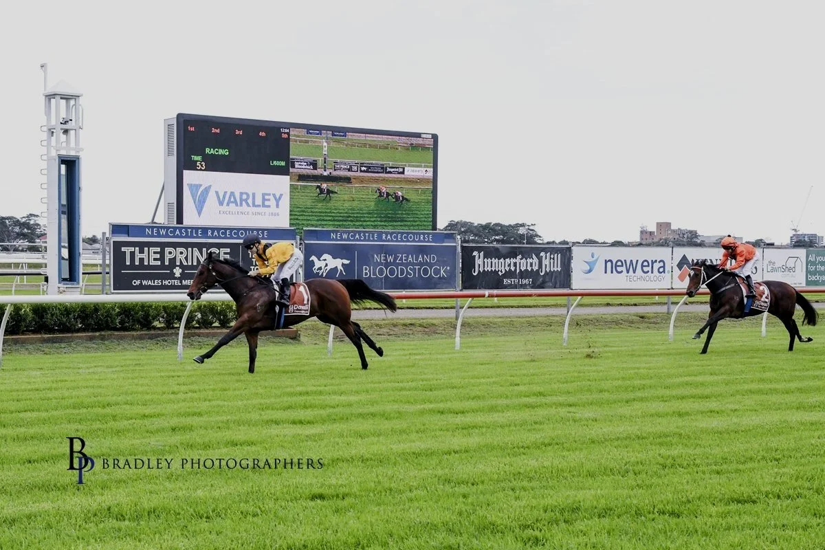 2025 HAS BEEN A GOOD YEAR FOR THE MINERVINI STABLE