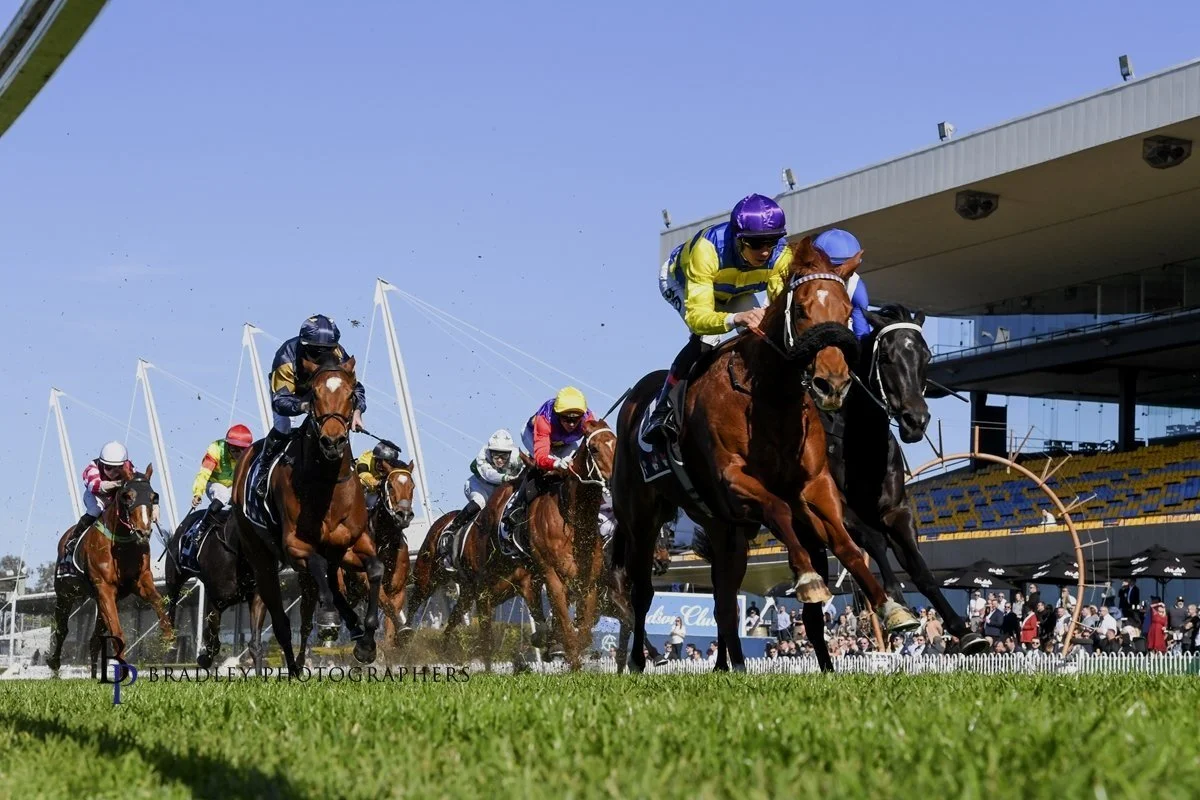 HARRY’S BAR DOES BRISK BUSINESS AT ROSEHILL