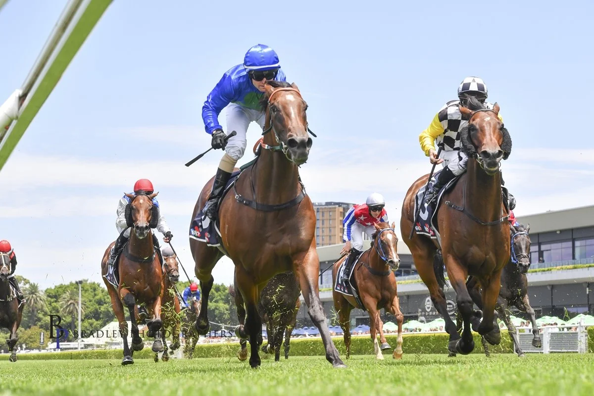 THE MONA LISA IS PUTTING SMILES ON THE FACES OF CONNECTIONS