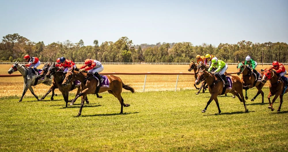 SELF MANAGED ADRIAN LAYT PLANS HIS OWN DESTINY. “HAVE SADDLE WILL TRAVEL” IS VETERAN JOCKEY’S MOTTO