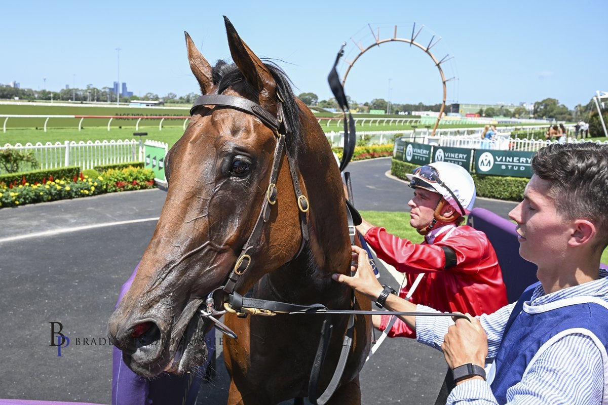 THE OLD FIRM’S BACK IN BUSINESS! QUINTON AND CLIPPERTON COMBINE FOR ROSEHILL WIN