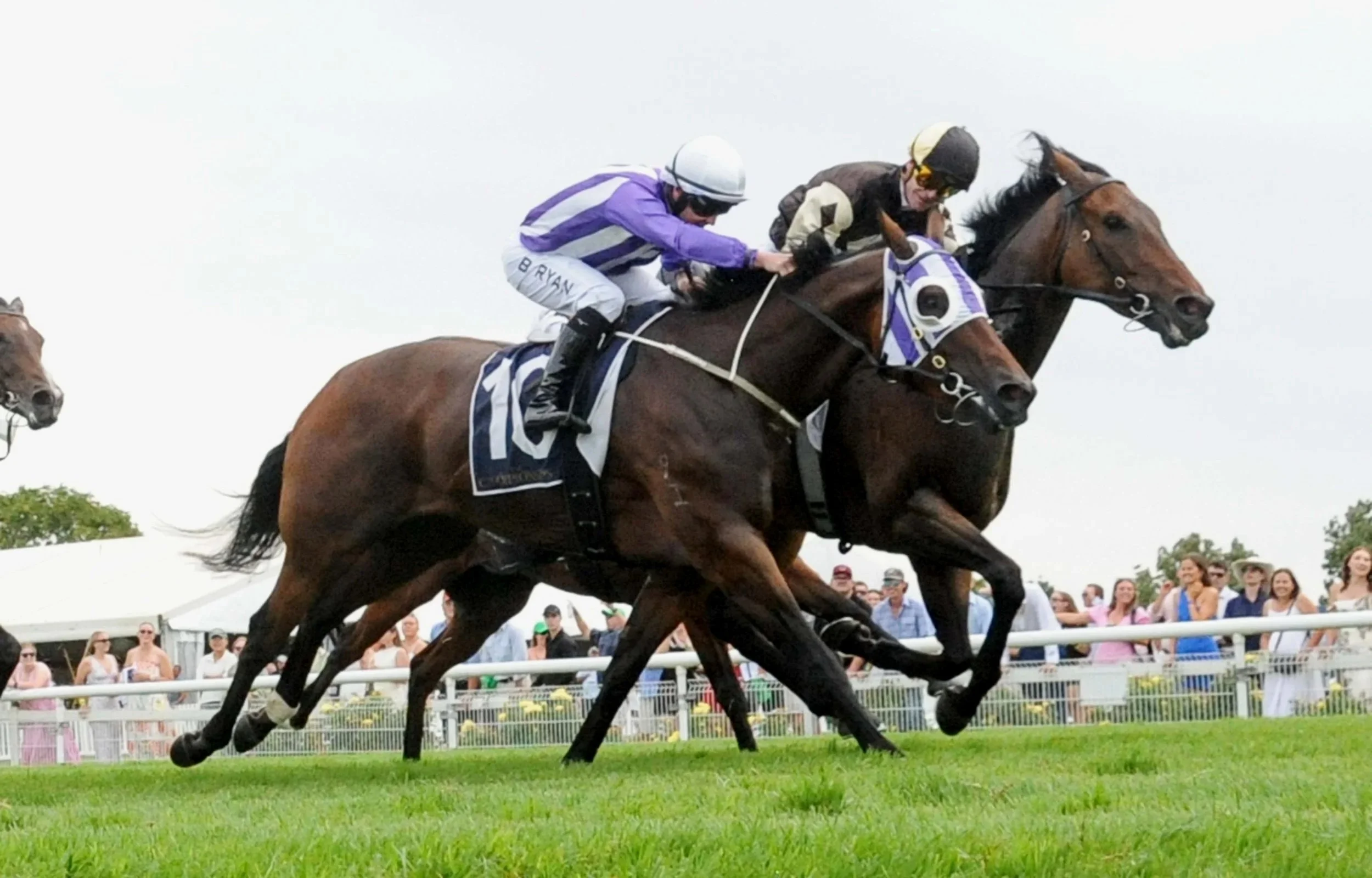 DONNA SCOTT AIMS UP FOR FIFTH SHOT AT THE COUNTRY CHAMPIONSHIP