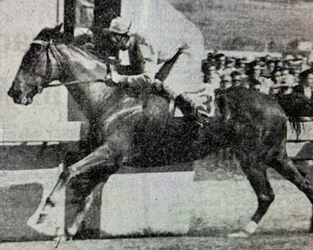 Episode 571:  Bernie Howlett - the horseman who rode, trained and bred Gr 1 winners.