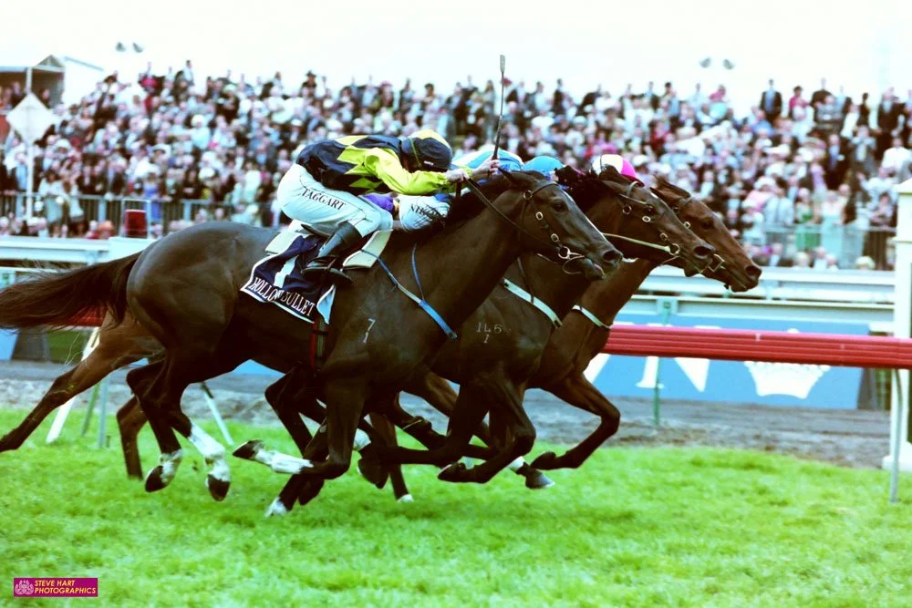 Episode 578:  David Taggart - the former crack jockey who battled through post accident trauma to become a favourite with punters on Melbourne’s SEN Track Radio.