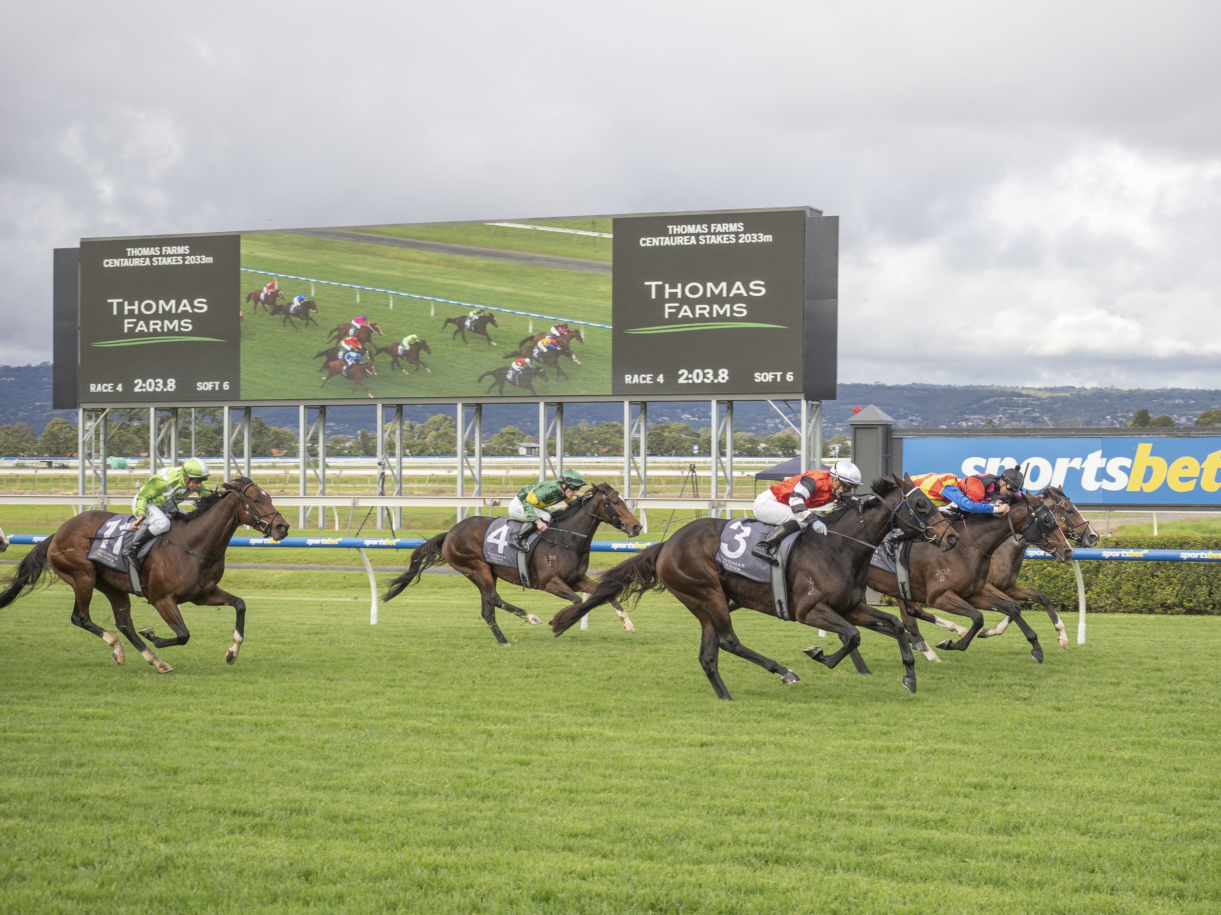 GREG HICKMAN WATCHED PRIVATE LEGACY’S CENTAUREA STAKES WIN FROM AFAR