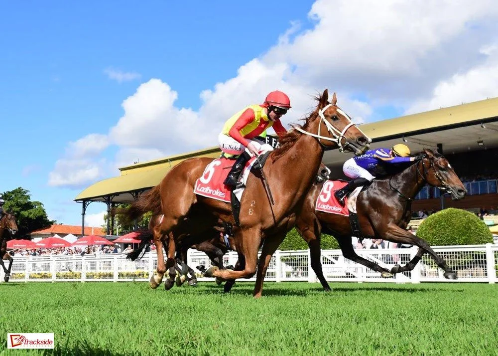 MODEL RACEHORSE LISZTOMANIA GRABS A METRO WIN IN BRISBANE
