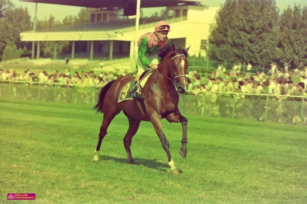 Episode 586:  Bob Vance - Star NZ jockey of the 80’s and 90’s now training successfully in partnership with wife Jenny.