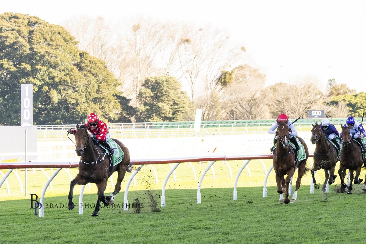 RANDWICK WIN BY SIR LES A TRAINING TRIUMPH FOR CRAIG CARMODY
