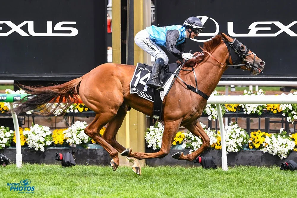 Episode 595:  Tony McEvoy - From a Streaky Bay apprenticeship to a Melbourne Cup triumph with many golden moments in between