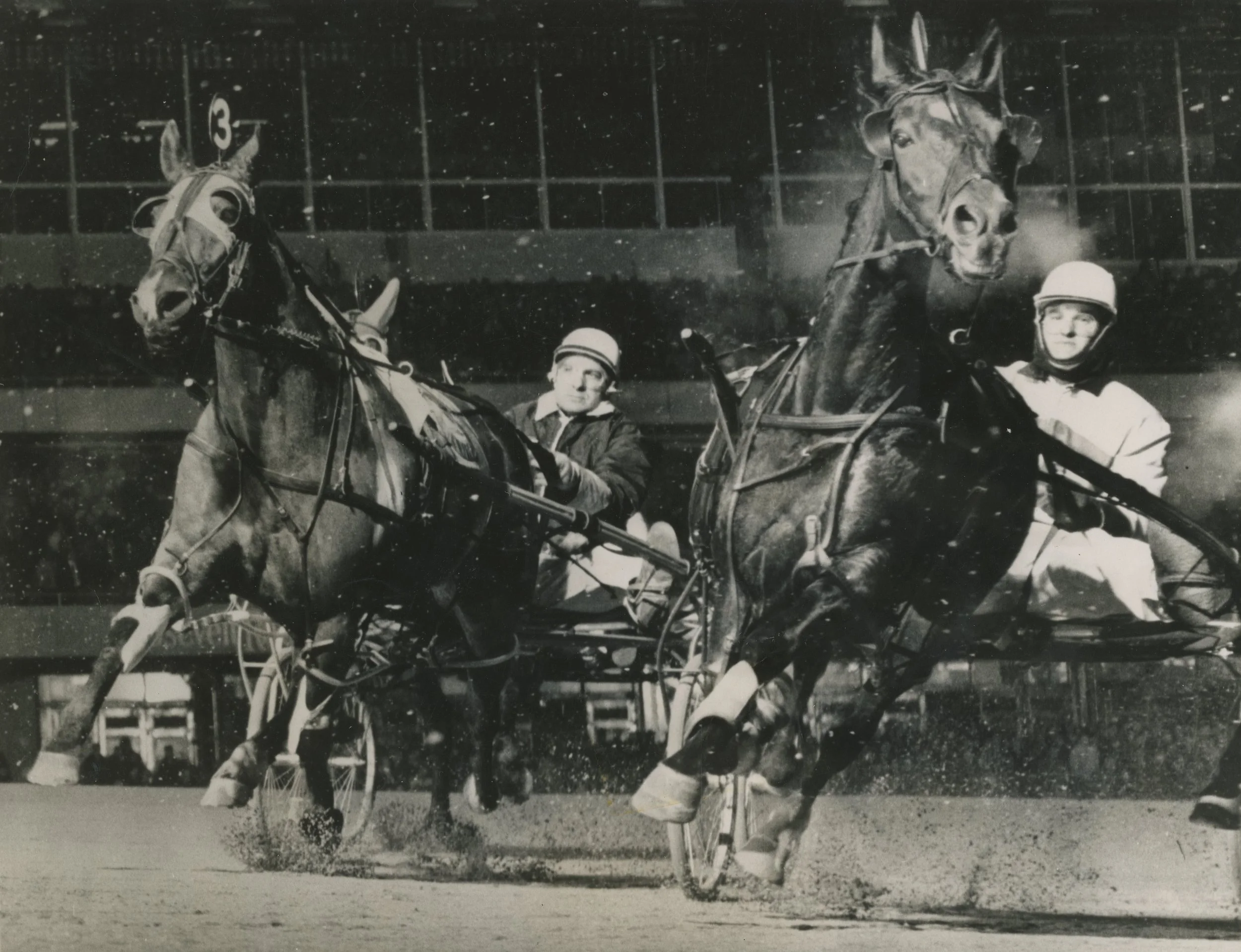 D.J. “JOHNNY” HEATH - A TRUE HARNESS RACING AFICIONADO — JOHN TAPP RACING