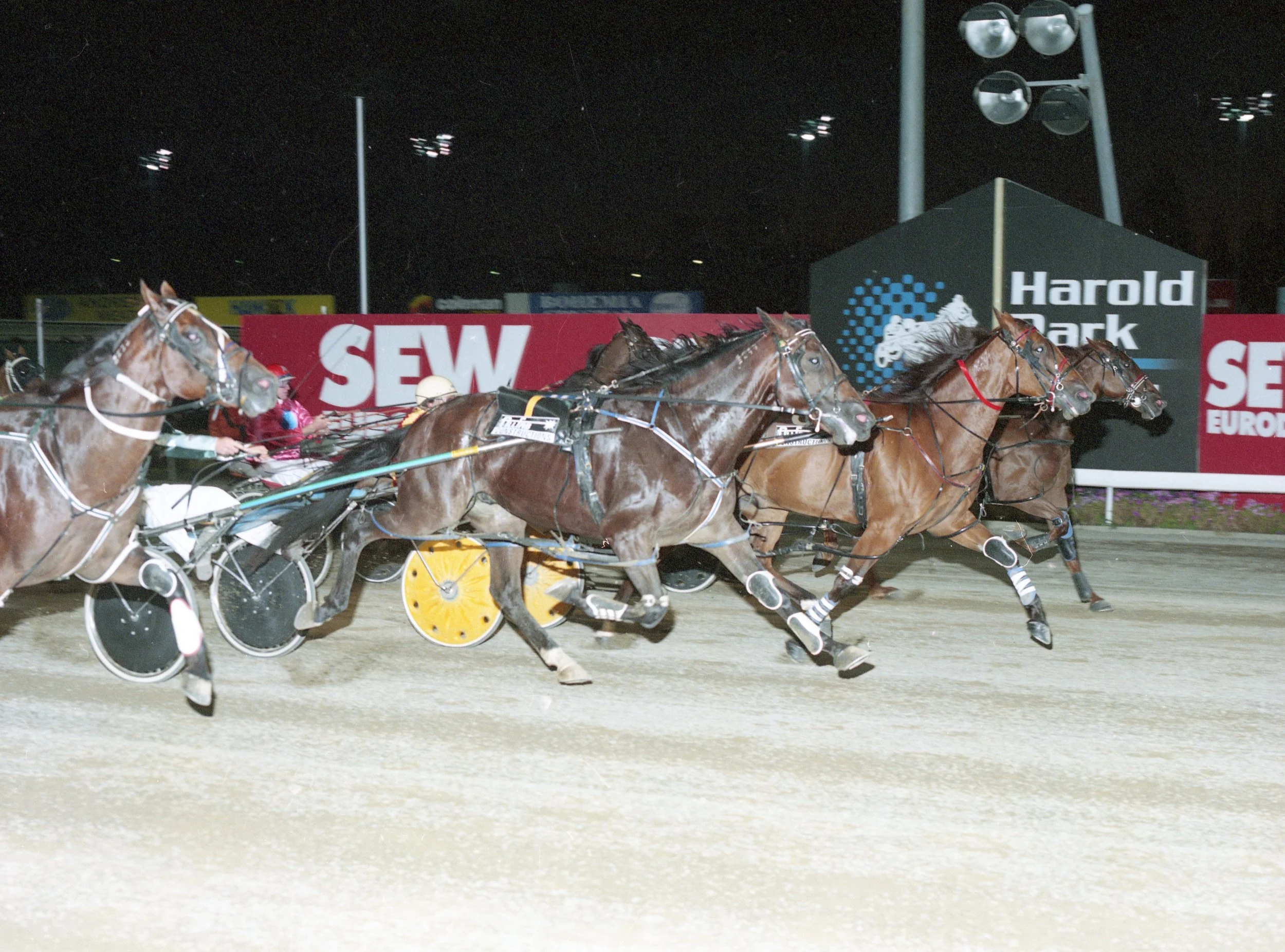 Seahawk Racing THE MCGILLS KEEP IT ALL IN THE FAMILY AT PENRITH’S END OF YEAR MEETING ...