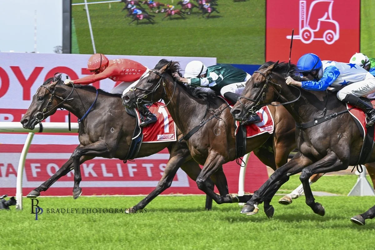 TOP WEEKEND FOR RICHARD AND WILL FREEDMAN — JOHN TAPP RACING