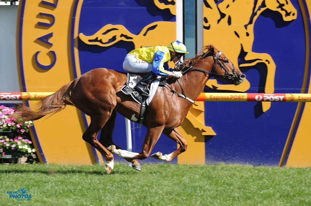 Eric Spangler Racing SPANGLER STOOD OUT LIKE A BEACON IN THE POLYTRACK CHAMPIONSHIP FINAL ...